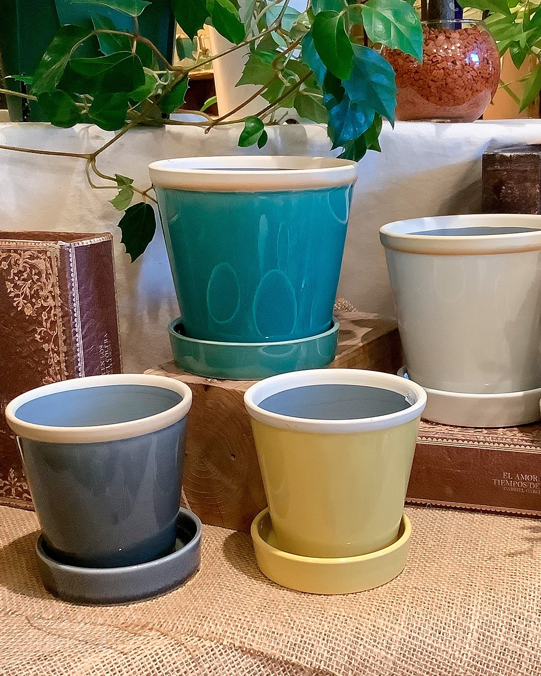 SHOP NEWS