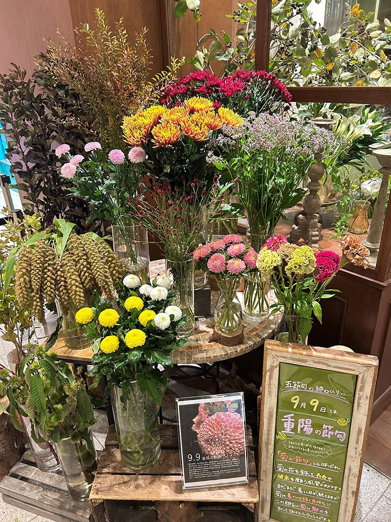 SHOP NEWS