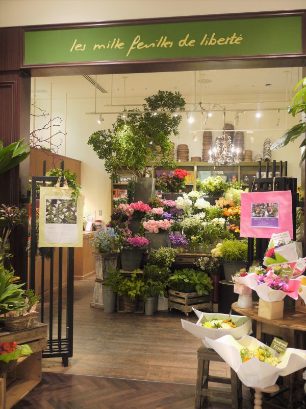 日本橋駅で人気のお花屋さんまとめ フラワーギフトから観葉植物まで豊富な品揃え Pathee パシー
