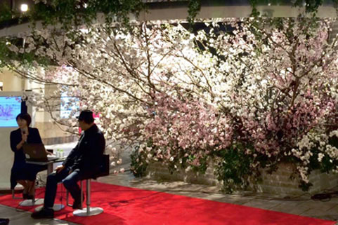 Liberte イベント装飾　桜