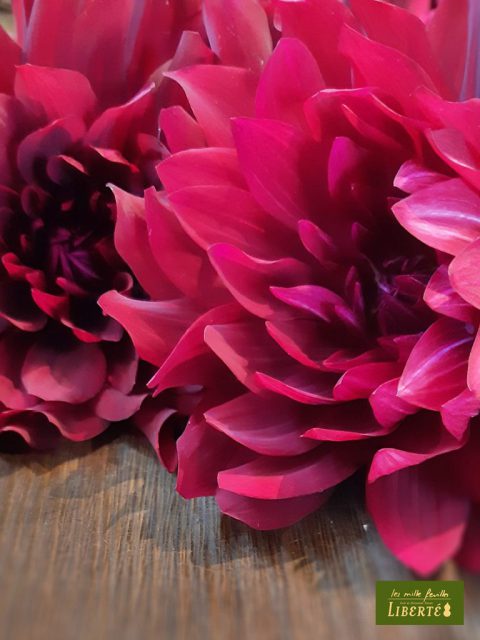 季節の花 秋 ダリアの神様 鷲澤幸治氏の世界 レ ミルフォイユ ドゥ リベルテ 花 アレンジメント フラワーショップ