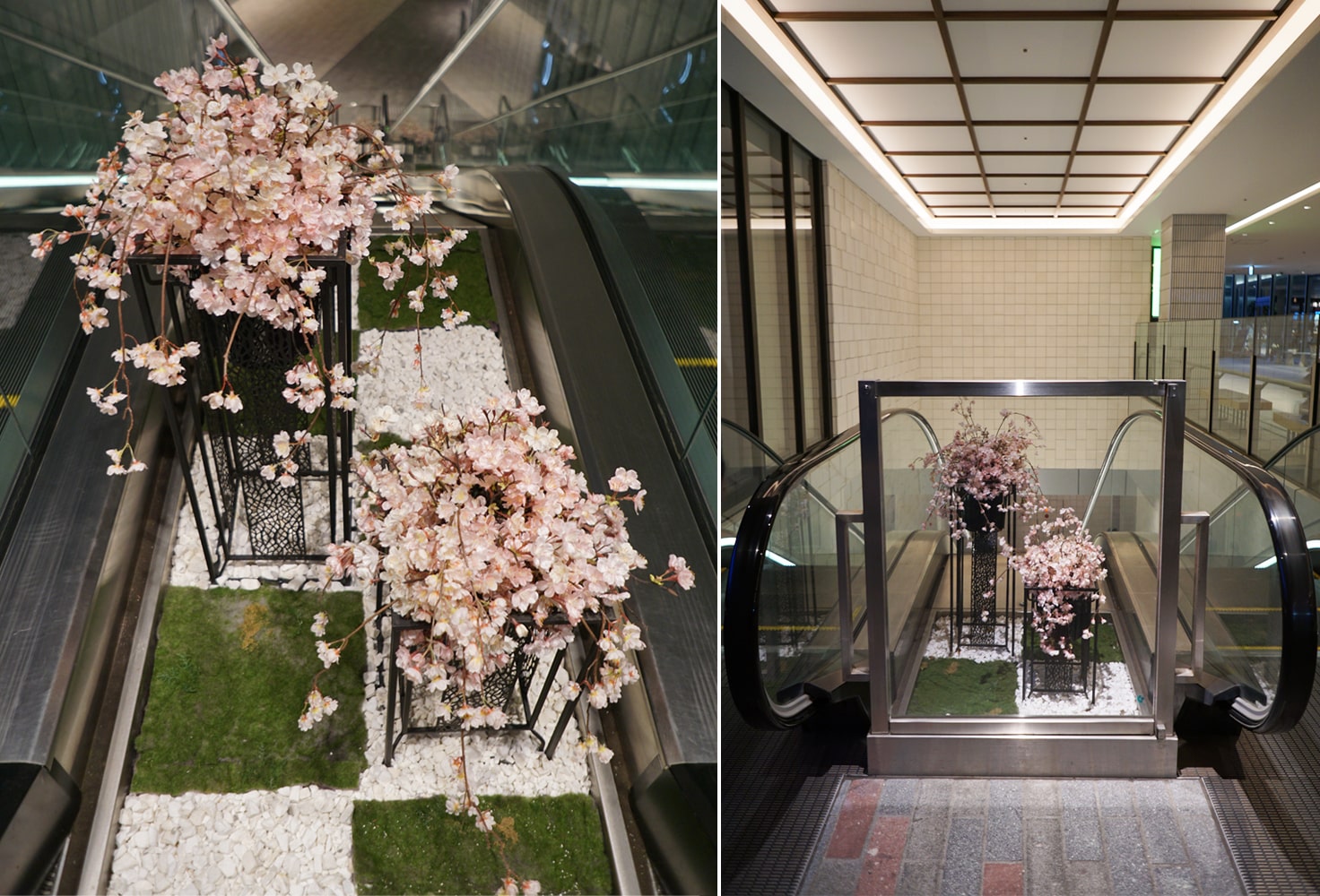 レミルフォイユドゥリベルテの生け込み・施工・装飾・装花・設営、春らしい桜装飾