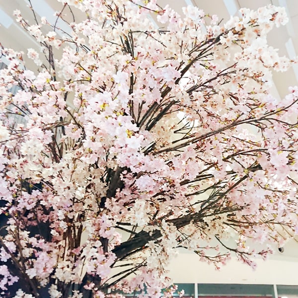 レミルフォイユドゥリベルテの生け込み・施工・装飾・装花・設営、春らしい桜装飾