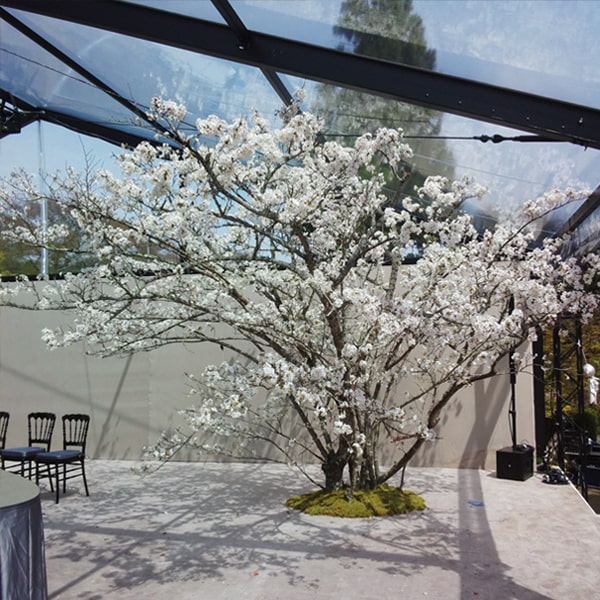 装飾,装花,季節の植栽,イベント装花,花の装飾,季節演出,花空間デザイン,花の装飾,会場装飾,イベント飾り花,四季ディスプレイ,スタジオ装花,催事装花,フラワーモニュメント,オフィス装飾,フラワーディスプレイ、空間装飾シーズン過去実績