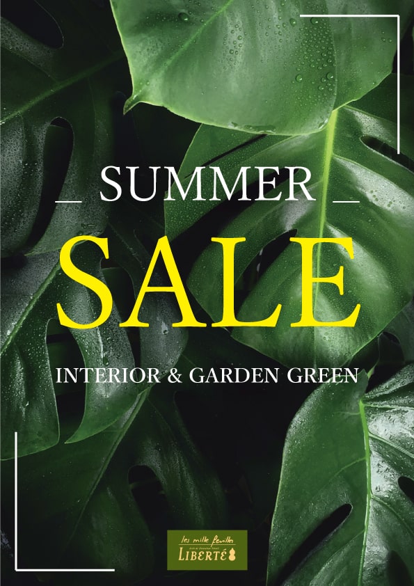 INTERIOR & GARDEN GREEN SUMMER SALE