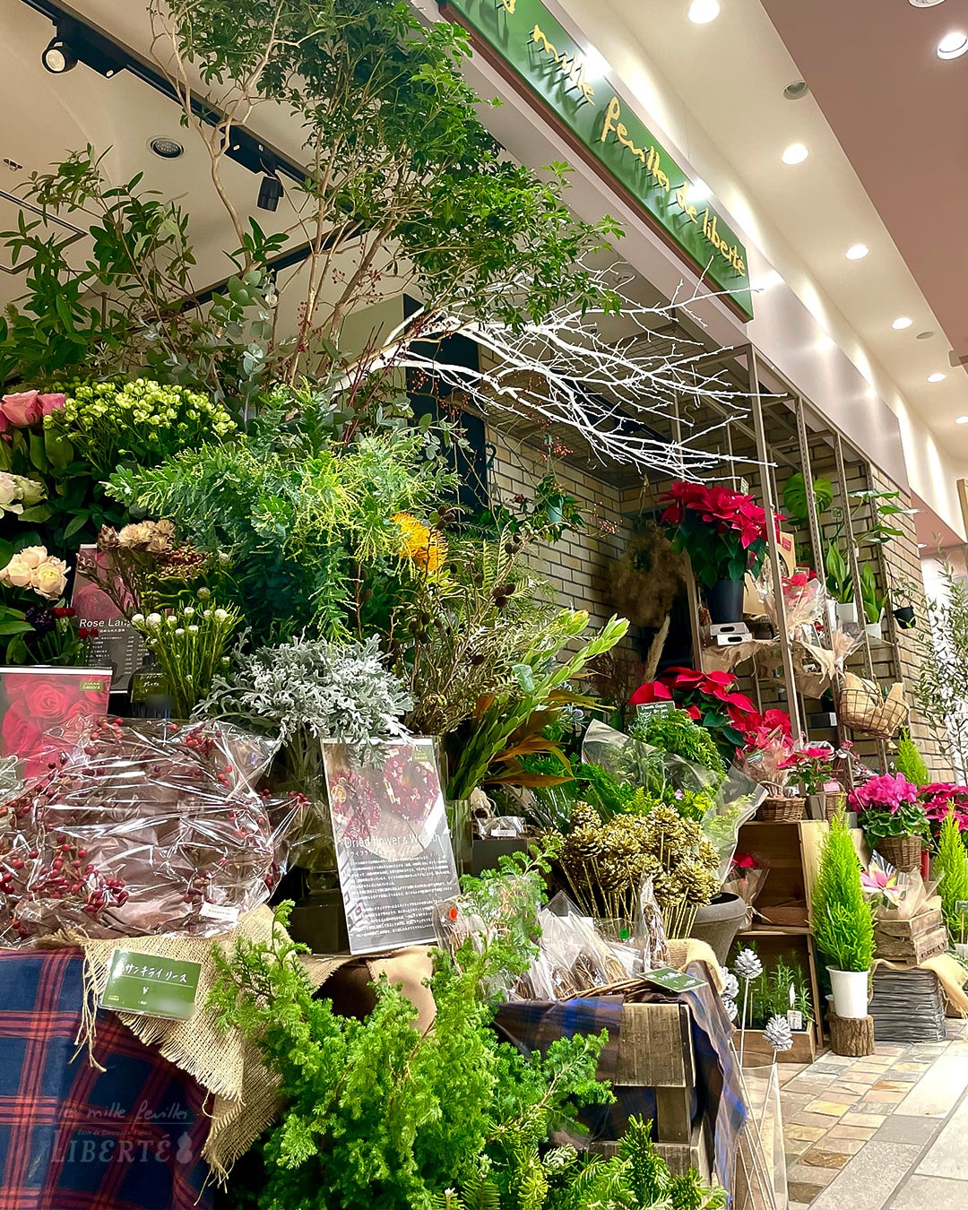 SHOP NEWS