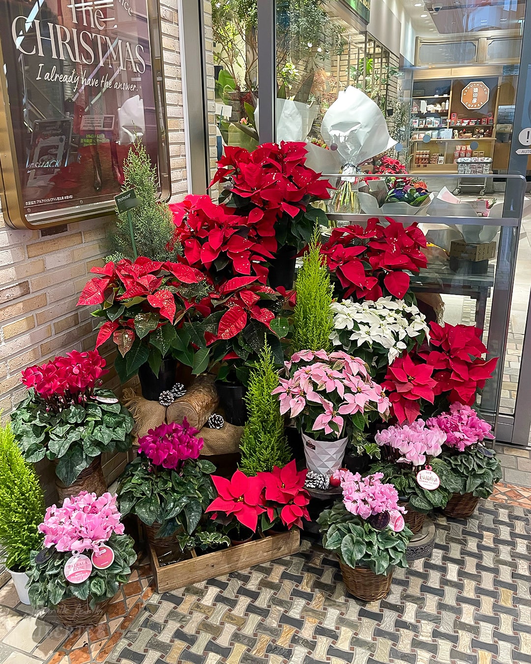 SHOP NEWS
