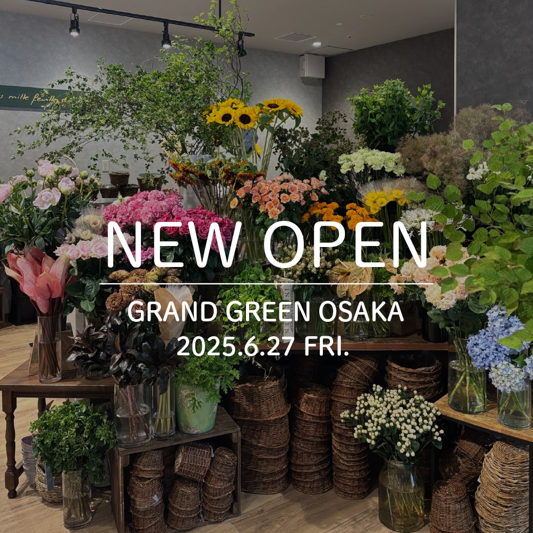 SHOP NEWS
