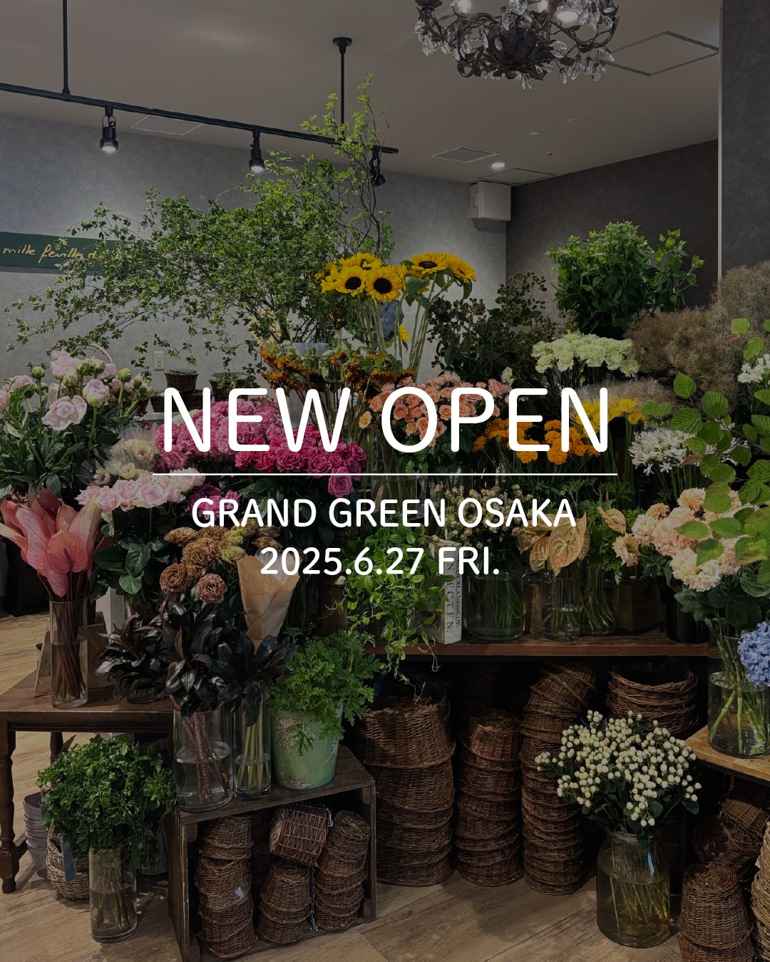 SHOP NEWS