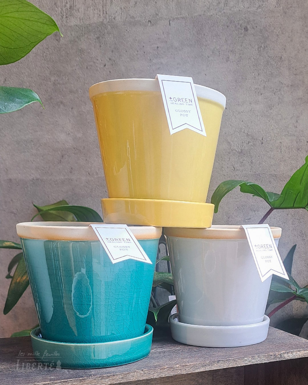 SHOP NEWS