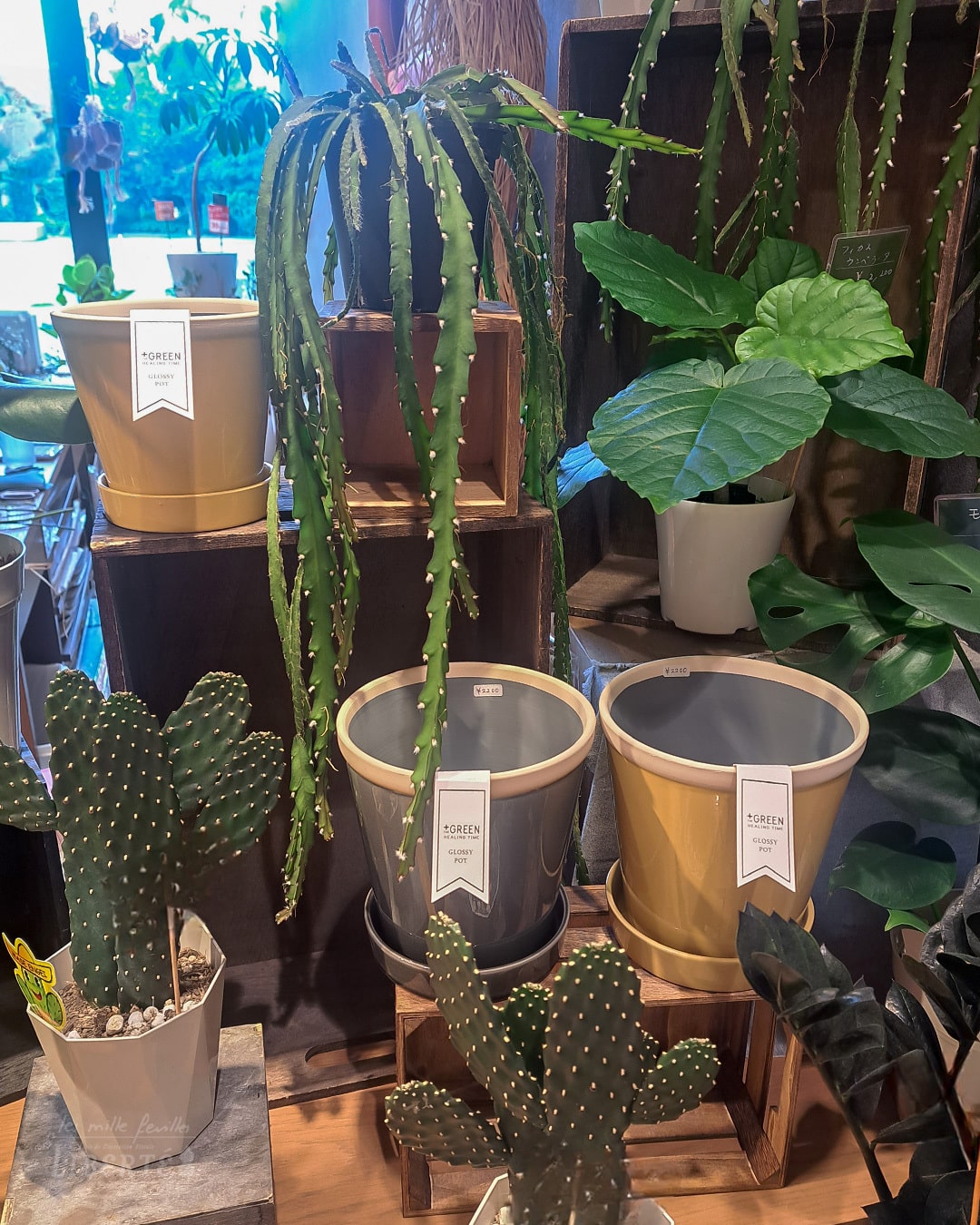 SHOP NEWS
