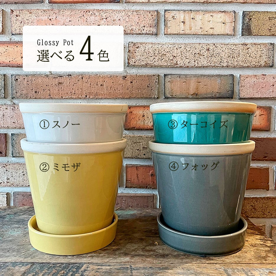 SHOP NEWS